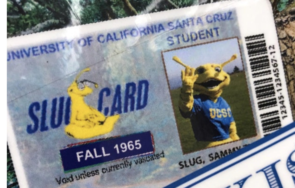 ucsc--id-image.jpg