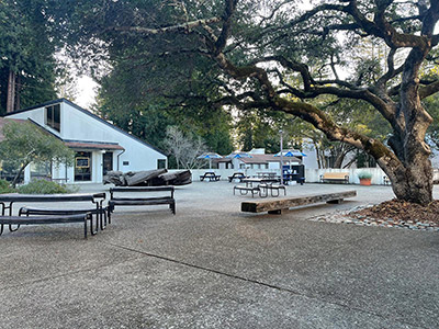 Stevenson Courtyard View 1